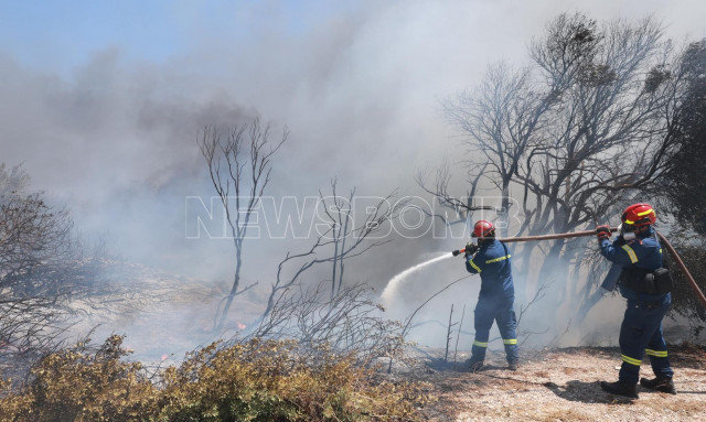 Κωνσταντέλλος για φωτιά στη Βάρης - Κορωπίου: «Έχουν καει σπίτια»