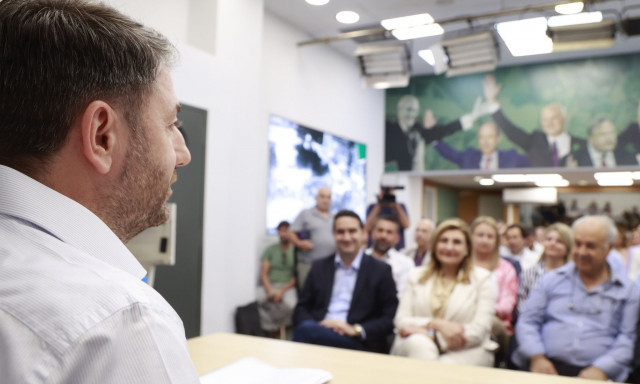 Νίκος Ανδρουλάκης 