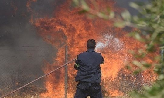 Πάτρα: Φωτιά στον οικοπεδικό χώρο της Mercedes στο Ρίο