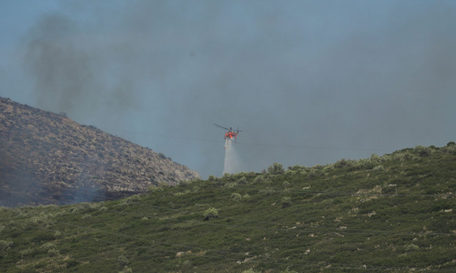 Φωτιές τώρα σε Ασπρόπυργο, Σπάρτη, Καλάβρυτα και Λαμία – Συναγερμός στην Πυροσβεστική