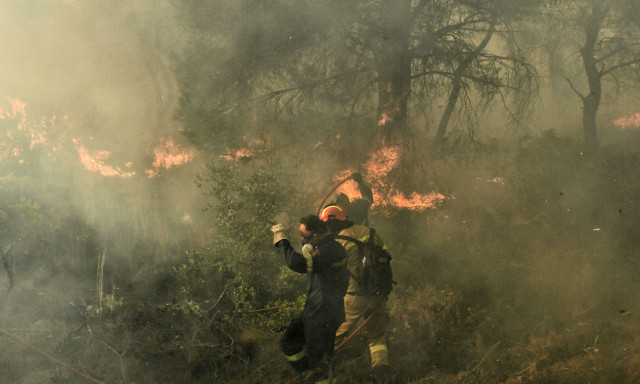 Φωτιά στο Αγρίνιο -Μεγάλη κινητοποίηση της Πυροσβεστικής