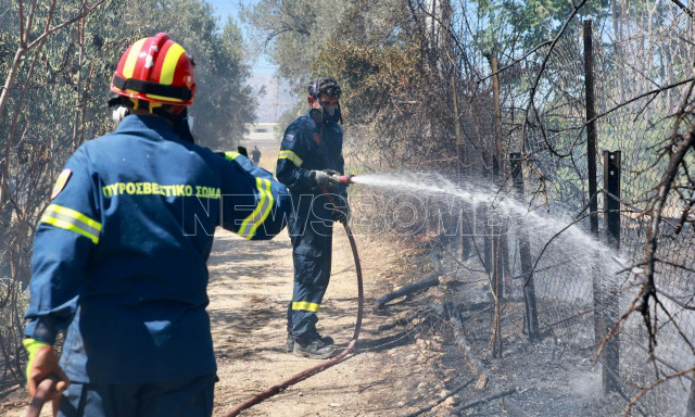 Φωτιά στον Κόκκινο Μύλο - Στο σημείο δυνάμεις της Πυροσβεστικής