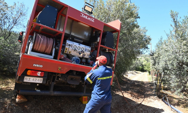 Πυρκαγιά στην Αρχαία Πύδνα