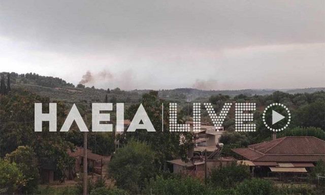 Πύργος: Νέα φωτιά στο Ντόμπρινο – Καίει σε δασική έκταση