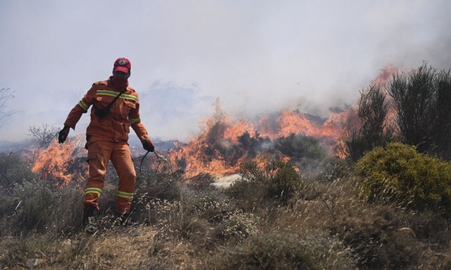 Λάρισα: Ήχησε το «112» για φωτιά στην Αμφιθέα