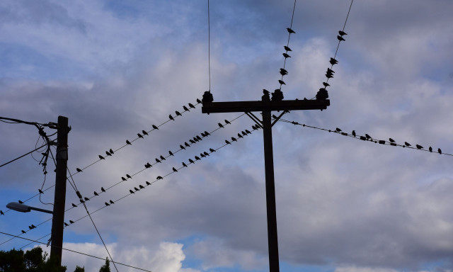 Παιανία: Χωρίς ρεύμα από τις 4:00 το πρωί
