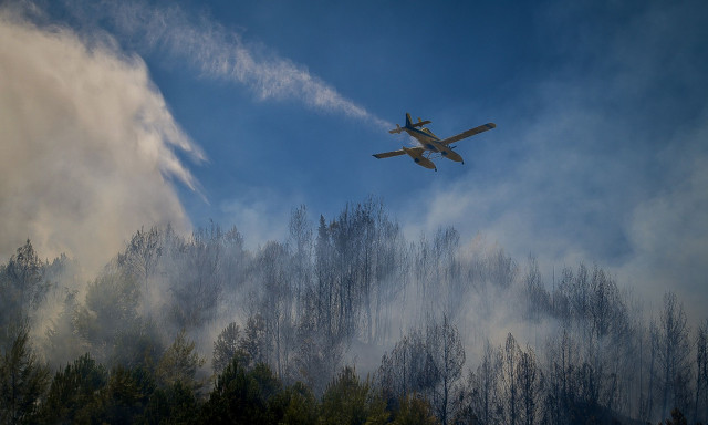 Δήμαρχος Πύργου στο Newsbomb.gr: «Κινδυνεύουν σπίτια, επιχειρούν δύο αεροσκάφη»