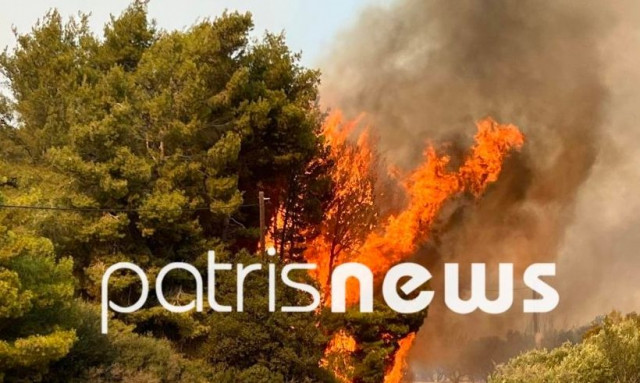 Φωτιά στην Ηλεία: Νέα μηνύματα 112 για εκκενώσεις