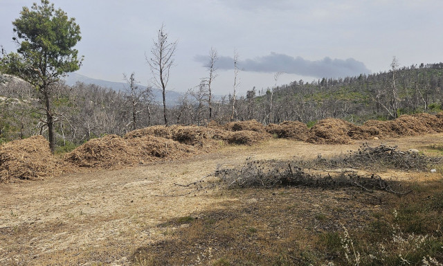 Θρακομακεδόνες: «Βουνά» από ξερά χόρτα - Oι Δήμοι νίπτουν τας χείρας τους για την «ωρολογιακή βόμβα»