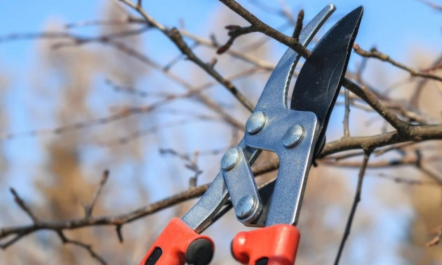 Ακαθάριστα οικόπεδα: Εκπνέει στις 30 Ιουνίου η προθεσμία για τον καθαρισμό κτημάτων κι αυλών