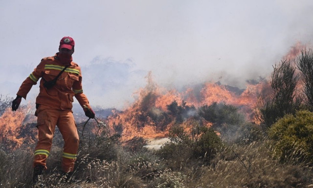 Φωτιά στον Μελισσουργό Θεσσαλονίκης