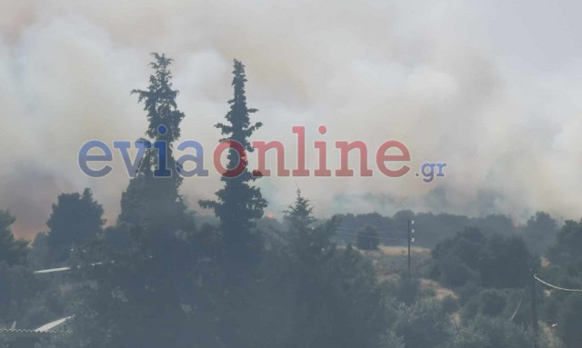 Εύβοια: Συνεχίζεται η μάχη στο Κοντοδεσπότι - Στις φλόγες αποθήκη λαδιών