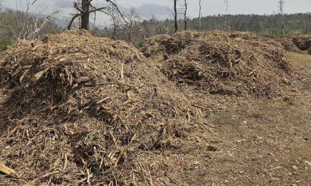 Εκπνέει η προθεσμία για τον καθαρισμό οικοπέδων