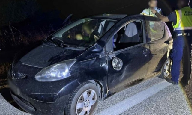 Καστοριά: Έγινε και αυτό - Οδηγός τράκαρε με... αρκούδα!