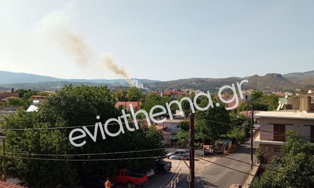 Εύβοια: Ξέσπασε φωτιά κοντά στο Κοντοδεσπότι - Μεγάλη κινητοποίηση της Πυροσβεστικής