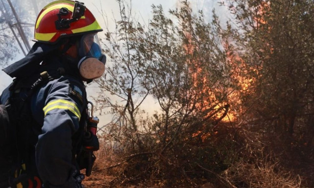 Σε ύφεση η πυρκαγιά στη Σπάρτη