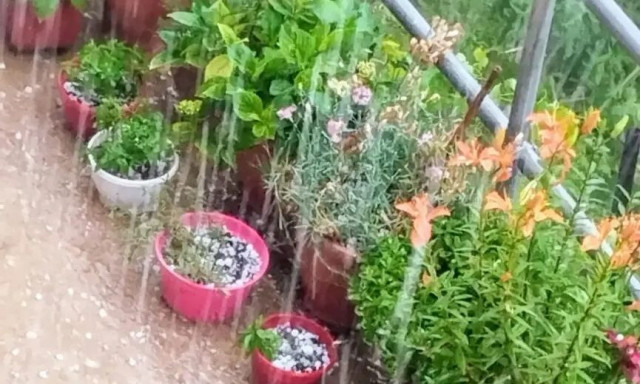 Σκοτείνιασε ο ουρανός: Σφοδρή χαλαζόπτωση στα ορεινά των Τρικάλων