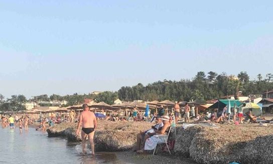 Χαλκιδική: Αποκρουστικές εικόνες σε παραλία στην Ποτίδαια - SOS από τους κατοίκους