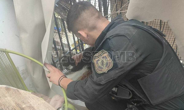 Βίντεο-ντοκουμέντο: Περιπετειώδης κατάσβεση σε διαμέρισμα στα Πατήσια - Πώς έσωσαν 5 κατοικίδια