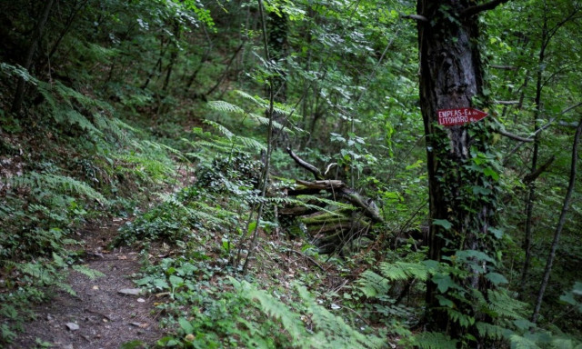 Σώος ο άνδρας που έχασε τον δρόμο του σε υψόμετρο 1.100 μέτρων στον Όλυμπο