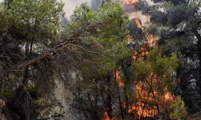 Η συχνότητα και το μέγεθος των πυρκαγιών διπλασιάστηκαν τα τελευταία 20 χρόνια