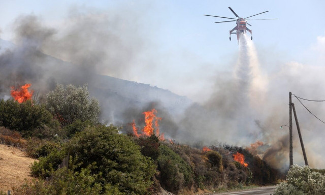 Εύβοια: Νέα φωτιά σε δασική έκταση στη Νέα Αρτάκη