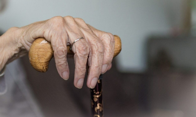 Επιστήμονες ανακάλυψαν το «μυστικό» της μακροζωίας - Τι έδειξε έρευνα