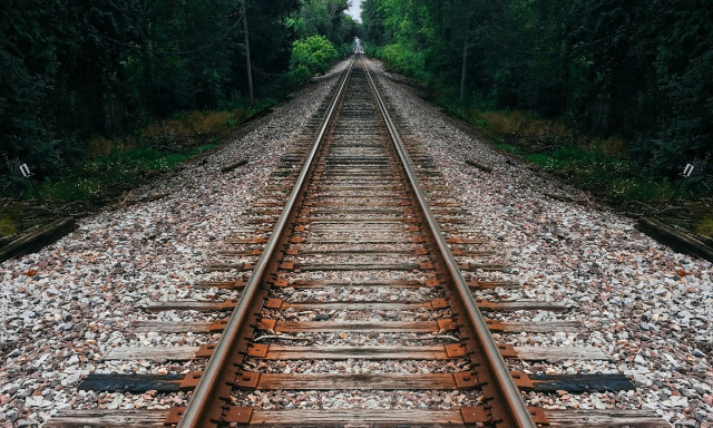 Τρένο προσέκρουσε σε πεσμένα δέντρα μεταξύ των σταθμών Σφενδάλης και Αφιδνών