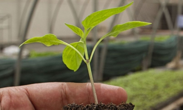 Άνοιξε η διαβούλευση για το μέτρο αγροτικών επενδύσεων, ύψους 135 εκατ. Ευρώ