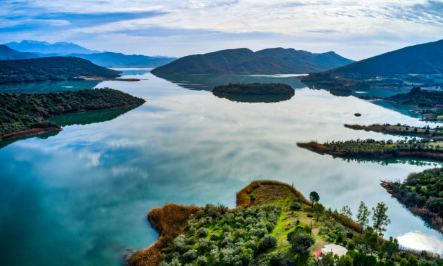 Το… ξενόφερτο ηλιόψαρο απειλεί τα ενδημικά είδη των ελληνικών λιμνών