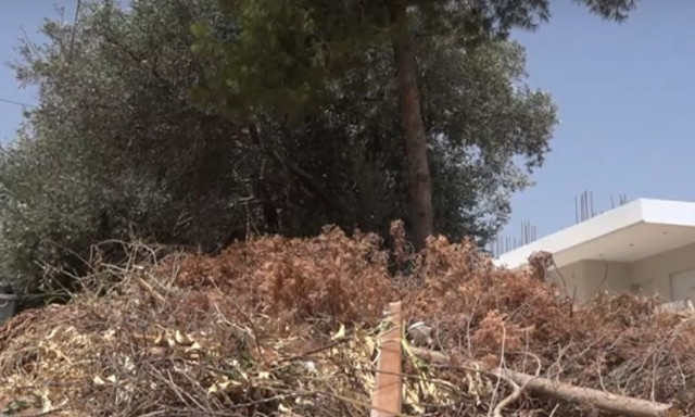 Και στο Μάτι που θρηνεί ακόμα 104 νεκρούς, τα ακαθάριστα οικόπεδα θυμίζουν «πυριτιδαποθήκες»