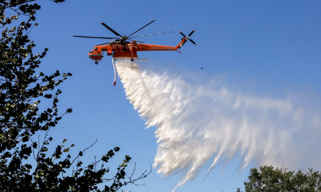 Θεσσαλονίκη: Τέθηκε υπό μερικό έλεγχο η φωτιά στον Δρυμό Ωραιοκάστρου