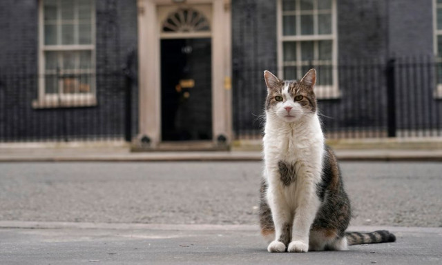 Ο γάτος της Ντάουνινγκ Στριτ: Έτοιμος να γνωρίσει τον 6ο πρωθυπουργό της Βρετανίας ο διάσημος «Λάρι»