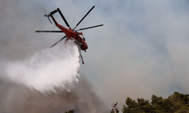 Φωτιά στη Ροδόπη: Σηκώθηκαν εναέρια μέσα - Μήνυμα από το 112