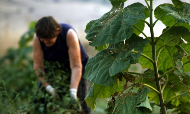 Ποιοι δικαιούνται το επίδομα ορεινών και μειονεκτικών περιοχών