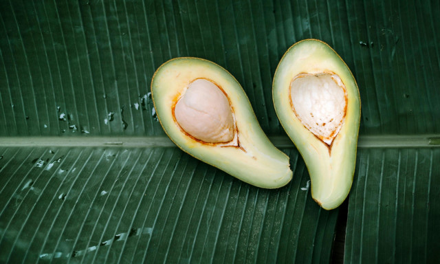 Αβοκάντο: Γιατί η δημοφιλής «υπερτροφή» είναι επικίνδυνη για το περιβάλλον