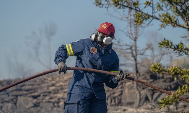 Πυροσβεστική: Συλλήψεις και επιβολή προστίμων για τις φωτιές σε Φθιώτιδα, Ηλεία, Ροδόπη και Αττική