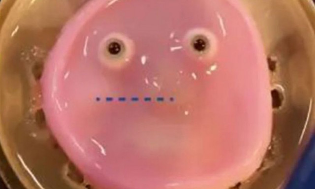 Ιάπωνες επιστήμονες έφτιαξαν τεχνητό δέρμα με ζωντανά ανθρώπινα κύτταρα για πρόσωπα ρομπότ