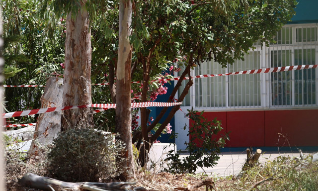 Απαντήσεις για το δυστύχημα στου Παπάγου: «Ο δενδροκηπουρός ήταν στο έδαφος, δεν χρειαζόταν ιμάντα»