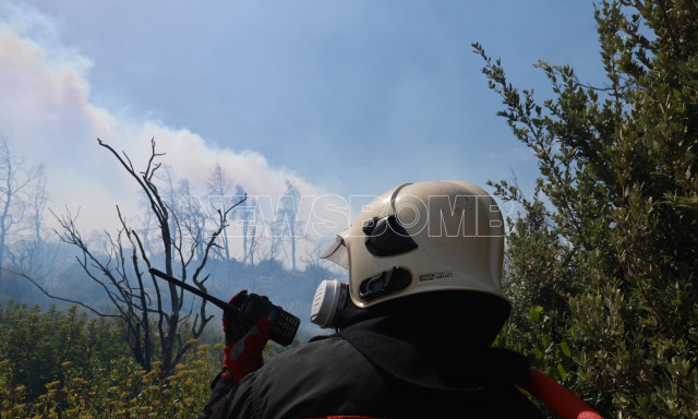 Φωτιά στην Πάρνηθα: Διαψεύδει ο ΔΕΔΔΗΕ την έκρηξη σε πυλώνα