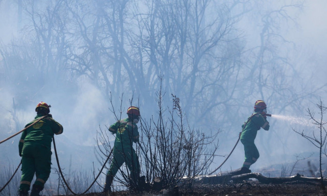 Φωτιά στην Πάρνηθα: Η πρόβλεψη Κολυδά - 7 με 8 μποφόρ oι ριπές του ανέμου