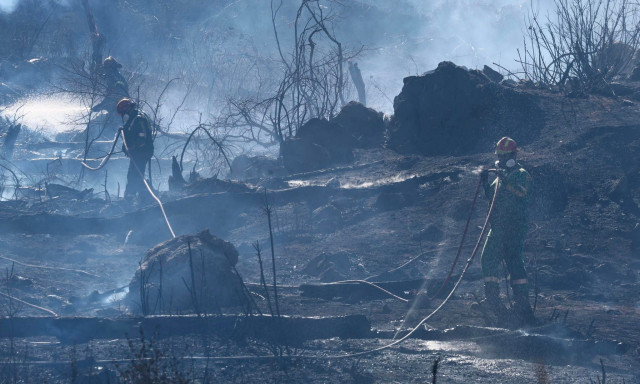 Πυροσβεστική: Συνολικά 54 πυρκαγιές εκδηλώθηκαν το τελευταίο 24ωρο στη χώρα
