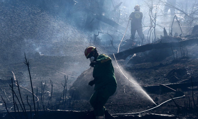 Πάρνηθα: Κίνδυνος... ανεπάρκειας από τον βασικό «πνεύμονα» της Αττικής