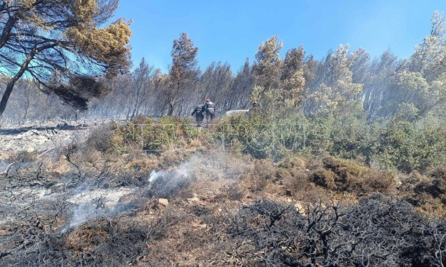 Φωτιά στην Κερατέα: Μεγάλη αναζωπύρωση - Απειλούνται σπίτια στη Συντερίνα