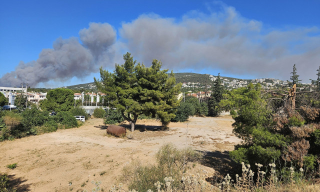 Φωτιά τώρα στη Γαλήνη Σταμάτας - Νέο μήνυμα για εκκένωση οικισμού από το 112