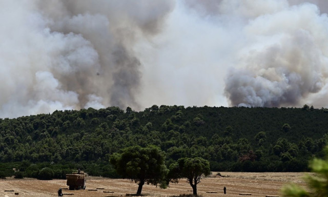 Φωτιά στη Βοιωτία: Ανεξέλεγκτο το μέτωπο στο Δίστομο – Ενισχύθηκαν οι πυροσβεστικές δυνάμεις