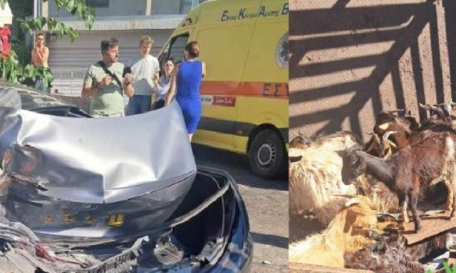 Τροχαίο στο Ρέθυμνο: Σμπαράλια φορτηγό με ζώα και άλλα τρία οχήματα