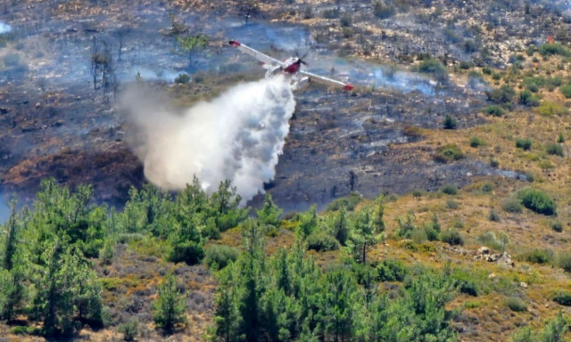 Φωτιές: Πύρινα μέτωπα σε Χίο και Κω - Πέντε τραυματίες