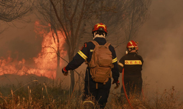Αντιδήμαρχος Διονύσου για εμπρηστή στη Σταμάτα: «Ήταν ντυμένος πυροσβέστης και πετούσε γκαζάκια»