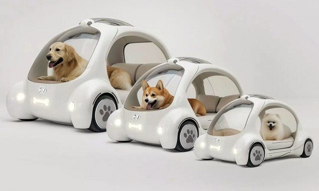 Αυτόνομα οχήματα που κάνουν βόλτες… σκύλους